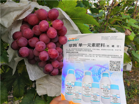 水溶肥，鈣肥，硼肥