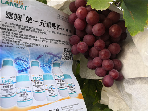 水溶肥，鈣肥，硼肥