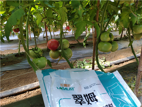 水溶肥，
