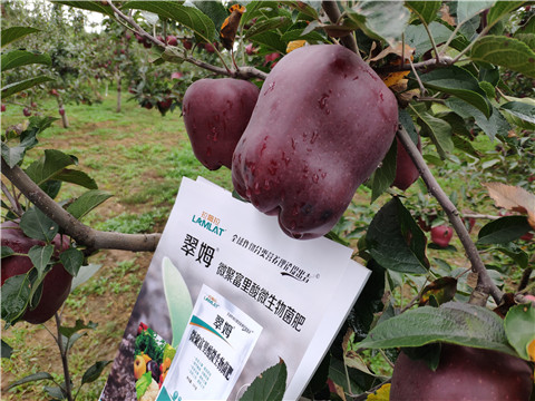 微生物菌劑，