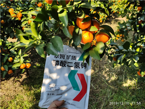 水溶肥，磷酸二氫鉀