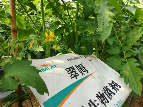 微生物菌劑，
