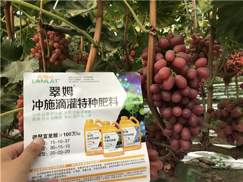沖施肥，拉姆拉