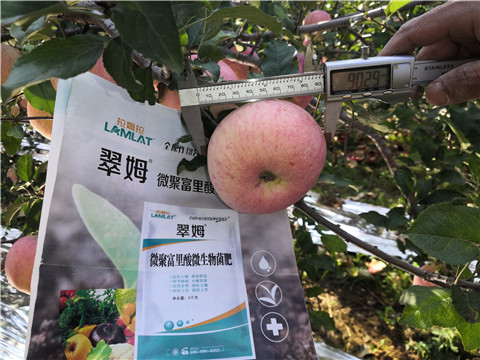 水溶肥，磷酸二氫鉀，微生物菌劑