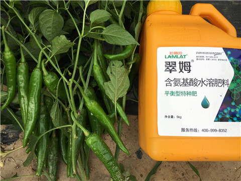 根碧多，微生物菌，葉面肥