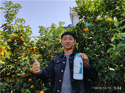 硼肥，拉姆拉