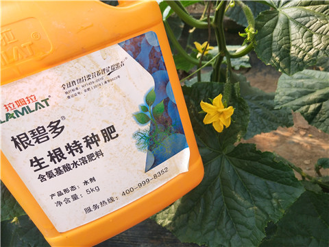 拉姆拉，根碧多，微生物菌劑