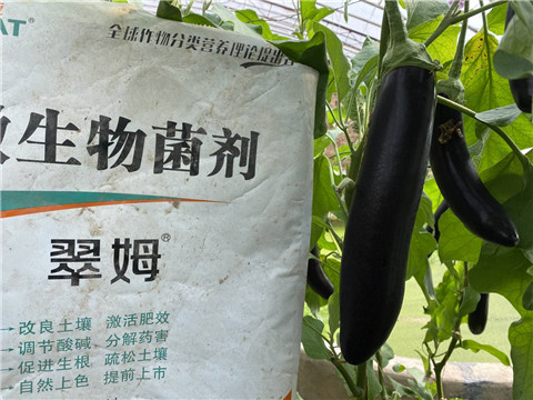 微生物菌劑，拉姆拉