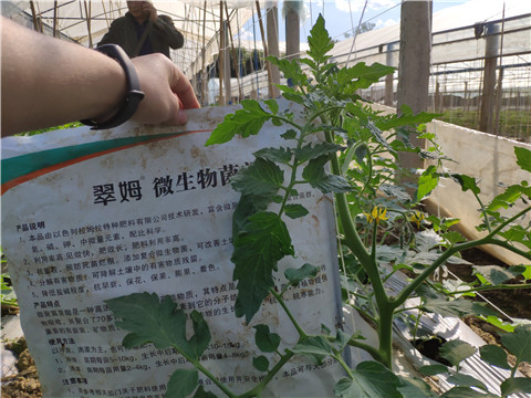 微生物菌劑 ，拉姆拉翠姆