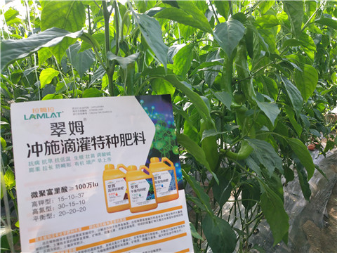 水溶肥，拉姆拉
