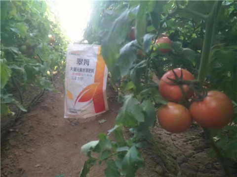 大量元素水溶肥，拉姆拉 