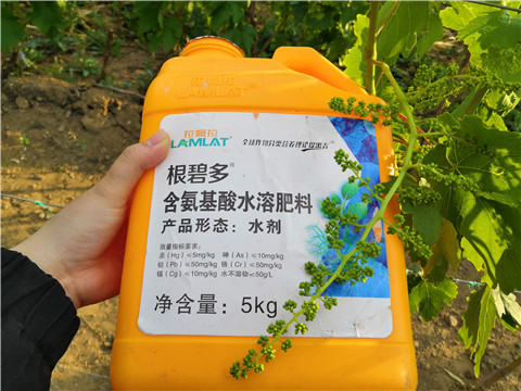 生根劑，微生物菌劑