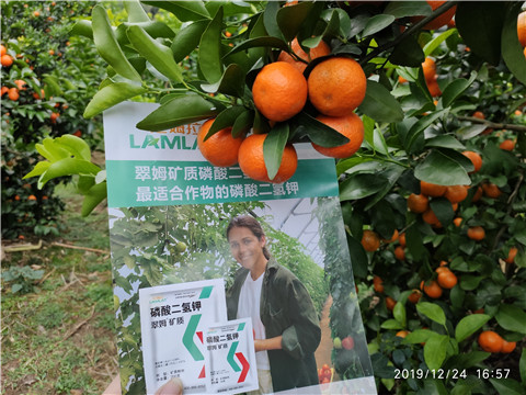 磷酸二氫鉀，鈣肥，硼肥
