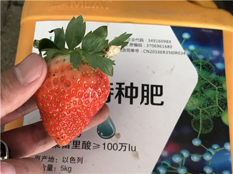 沖施肥，磷酸二氫鉀