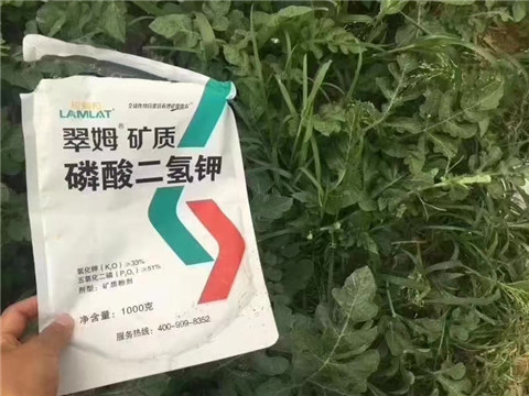 磷酸二氫鉀，硼肥，沖施肥