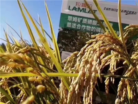 磷酸二氫鉀，翠姆
