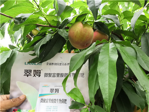 根碧多，微生物菌劑