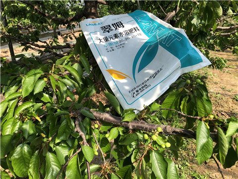大量元素水溶肥，磷酸二氫鉀，硼肥