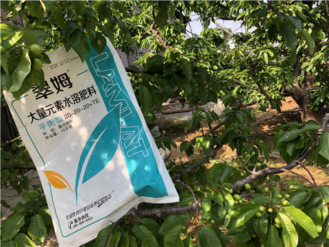 大量元素水溶肥，磷酸二氫鉀，硼肥