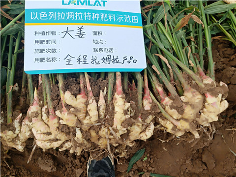 水溶肥，微生物菌劑，拉姆拉