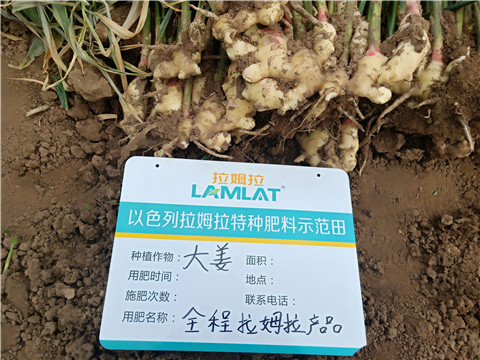 水溶肥，微生物菌劑，拉姆拉