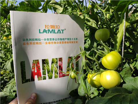 微生物菌劑，拉姆拉，伯示麥