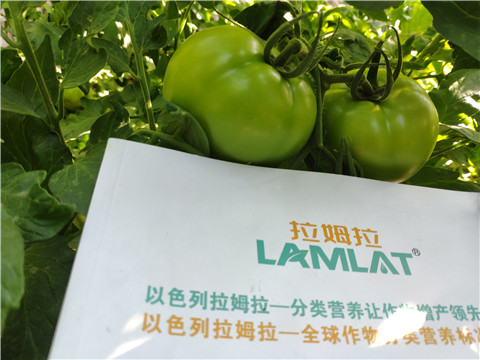 微生物菌劑，拉姆拉，伯示麥