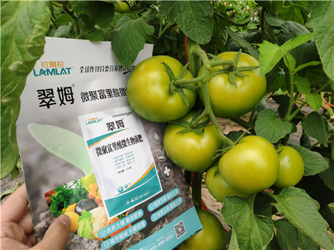 葉面肥，微生物菌劑，磷酸二氫鉀