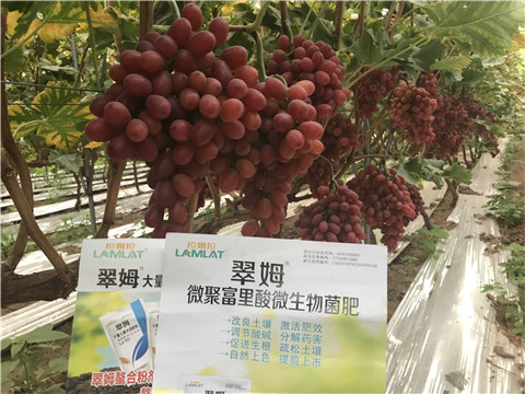 微生物菌劑，硼肥，鈣肥