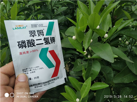磷酸二氫鉀，硼肥，拉姆拉