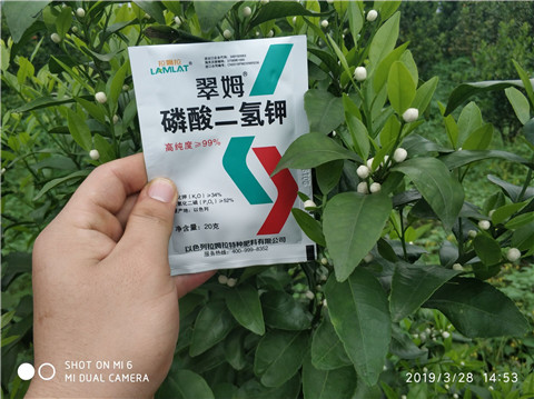 磷酸二氫鉀，硼肥，拉姆拉
