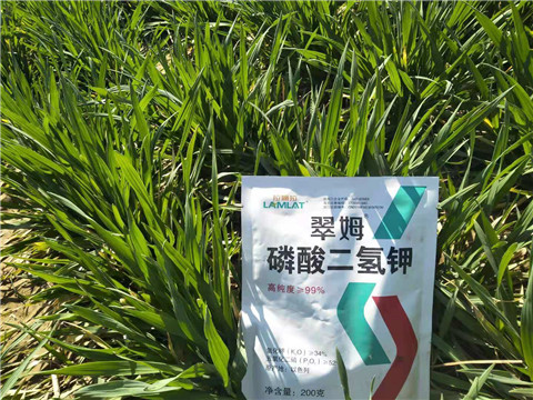 磷酸二氫鉀，葉面肥，拉姆拉