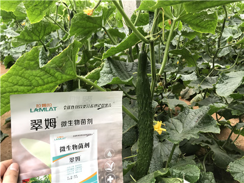 微生物菌劑，水溶肥，拉姆拉