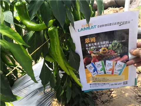 微生物菌劑，復(fù)合肥料，拉姆拉
