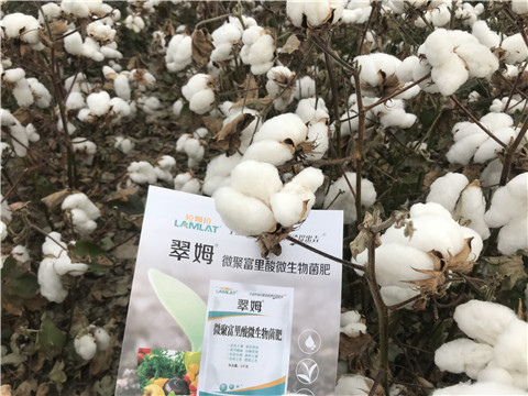 微生物菌劑，根碧多，拉姆拉