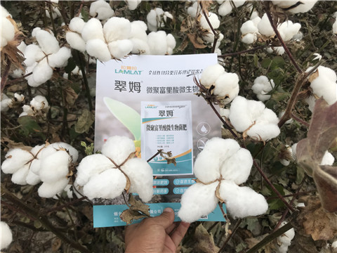 微生物菌劑，根碧多，拉姆拉