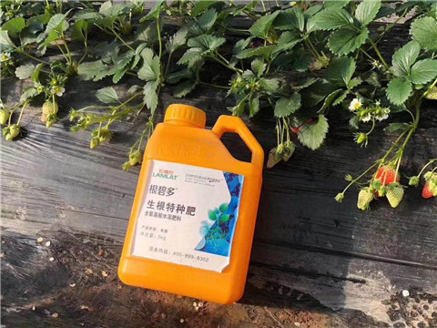 根碧多，微生物菌劑，拉姆拉