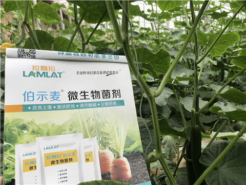 微生物菌劑，生根劑，拉姆拉