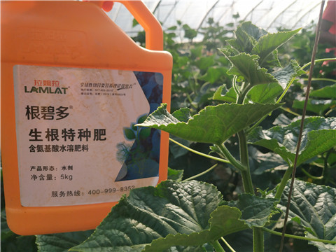 根碧多，磷酸二氫鉀，拉姆拉