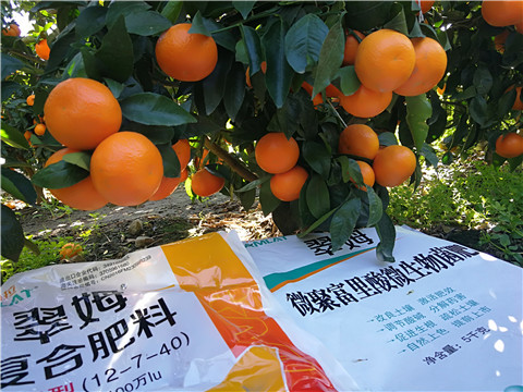 水溶肥，拉姆拉