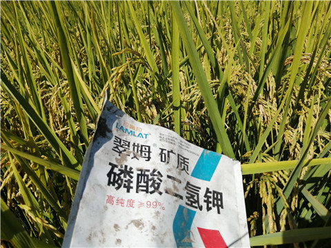 磷酸二氫鉀，翠姆，拉姆拉