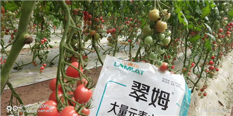 水溶肥，翠姆，拉姆拉