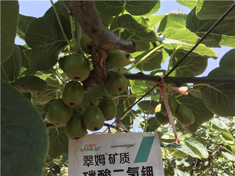 磷酸二氫鉀，拉姆拉