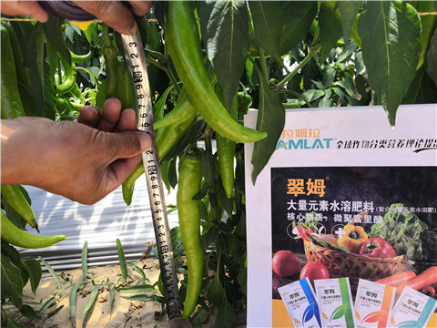 復(fù)合肥料，拉姆拉