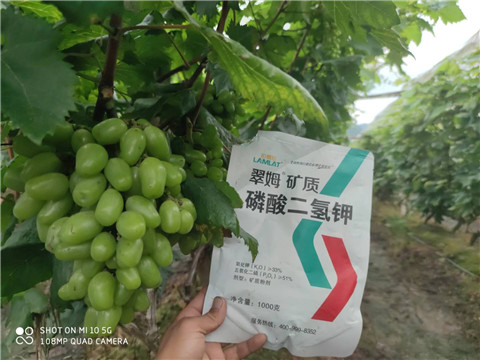 磷酸二氫鉀，拉姆拉