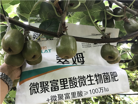 微生物菌劑，翠姆，拉姆拉
