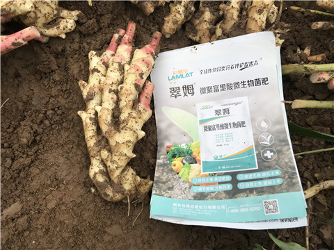 微生物菌劑，翠姆，拉姆拉