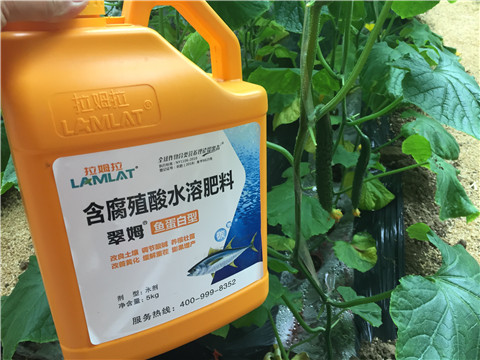 生根劑，魚蛋白水溶肥，拉姆拉