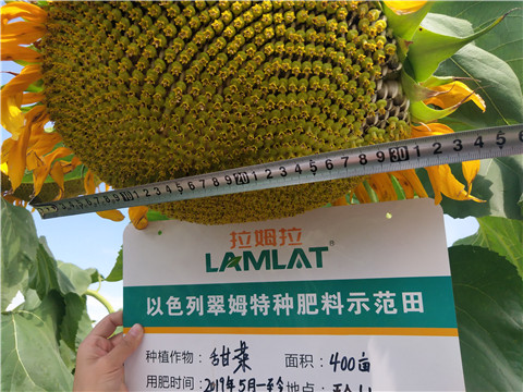 水溶肥，微生物菌劑，拉姆拉