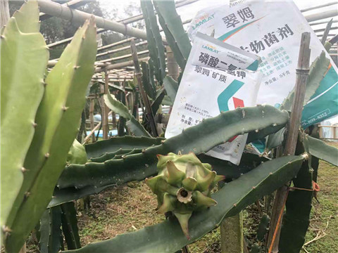 磷酸二氫鉀，翠姆，拉姆拉